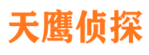 江城侦探公司